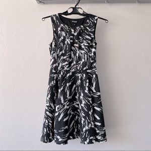 Express Fit & Flare Dress